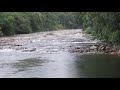 Cabeca de agua, arrasta varias cabecas de gado, tromba agua