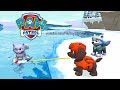 PAW Patrol Pups to the Rescue | The Ice Fields