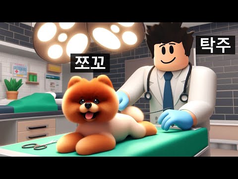 쪼멍이가 아파요 ! 수의사 탁주가 입양했어요 ! 로블록스