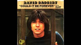 Video thumbnail of "David Cassidy - Blind Hope"