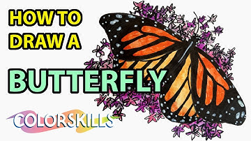 How to Draw A Monarch Butterfly Step-By-Step Tutorial For Kids - Easy