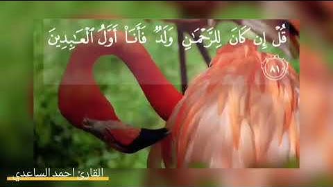 مقطع جميل من مقام البيات/ القارئ احمد عبد الساعدي