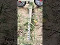 Push Cutting: Walk-Behind Sickle Mower For Overgrown Rural Field Weeding
