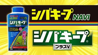 シバキーププラスＶ：シバキープNAVI 芝専用 除草剤 シバキープシリーズ