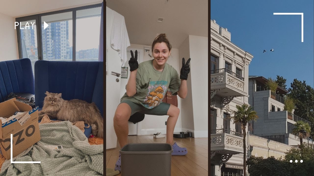 НАС ВЫГНАЛИ ИЗ КВАРТИРЫ И КИНУЛИ НА ДЕНЬГИ / и немного блох - YouTube