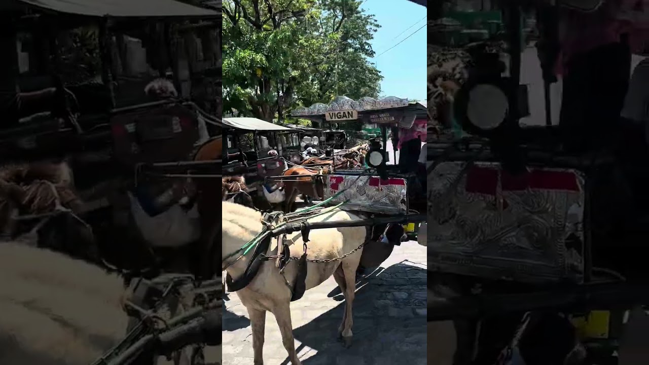 Vigan Walking Tour 🇵🇭 | Relaxing Stroll in Calle Crisologo, Ilocos Sur