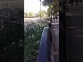 ايل گلي تبريز