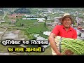 कुरिलो खेतिबाट एक सिजनमा १४ लाख आम्दानी ! Garden asparagus farming in Nepal