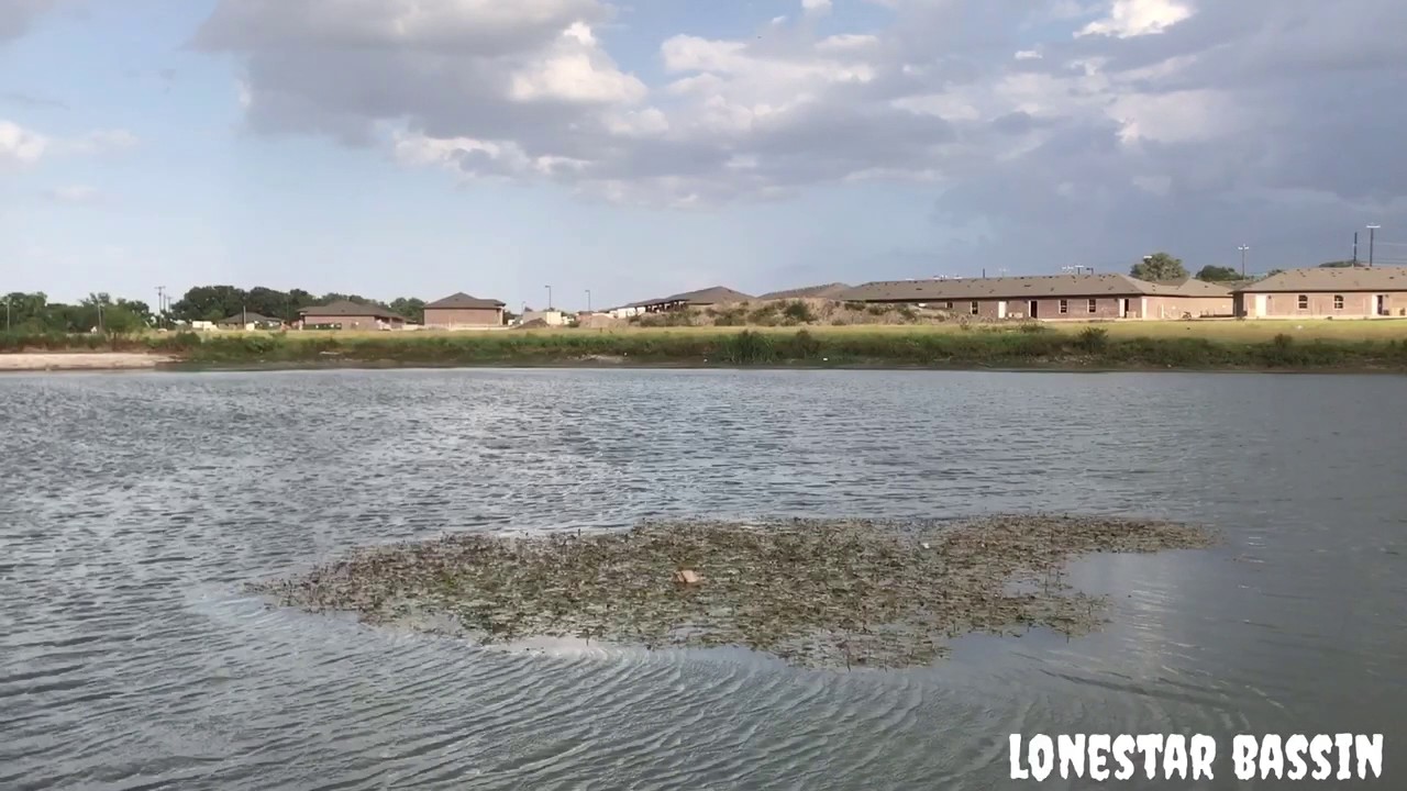 Pond fishing in San Antonio YouTube