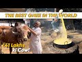 The best desi ghee in the world