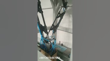 Delta robot spider arm tissue sachet cartoning machine