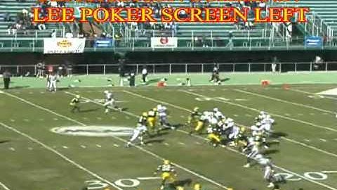 HYBRID WEST COAST OFFENSE PASSING GAME - PLAYACTION DRAW SCREENS