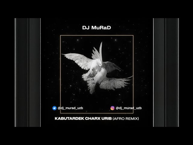 Dj MuRaD - Kabutardek Charx Urib (2026 Afro Edit)