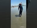 マテ貝掘り生放送🐚