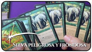 MTG Premodern Japo, recopilación de Marzo suppa pawa!!