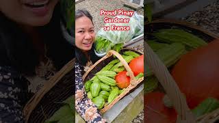 Napakawow pag may maharvest ar maishare sa mga kapwa Pinay, #trending #afam suportado ni Afam
