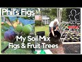 My Soil Mix for Figs & Fruit Trees.  Effective and Simple!