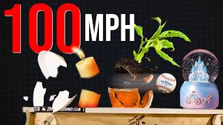 Guess What 100 MPH Destroys. Get It Wrong, Eat Bugs.