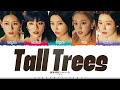 G I DLE Tall Trees Lyrics Color Coded Eng ShadowByYoongi mp3
