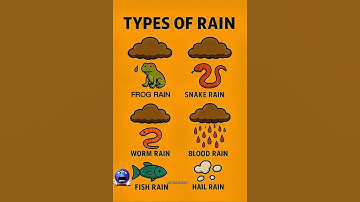 🌎 DISCOVER TYPES OF RAIN 🌧 | PART 2