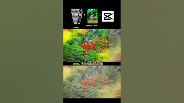 cinematic colour grading tutorial nature #tutorial #capcut #shorts