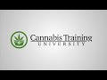 Cannabis Distillate Production and Extraction -Made Cannabis Distillate-Cannabis Training University