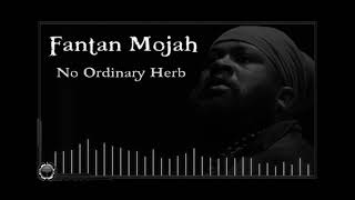 Fantan Mojah: No Ordinary Herb