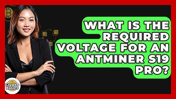 What Is The Required Voltage For An Antminer S19 Pro? - CryptoBasics360.com