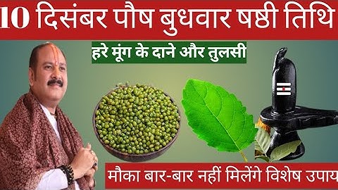 10 दिसंबर पौष बुधवार षष्ठी तिथि के दिन 5 हरे मूंग के दाने वाला उपाय जरुर करे || Pradeep Ji Mishra 