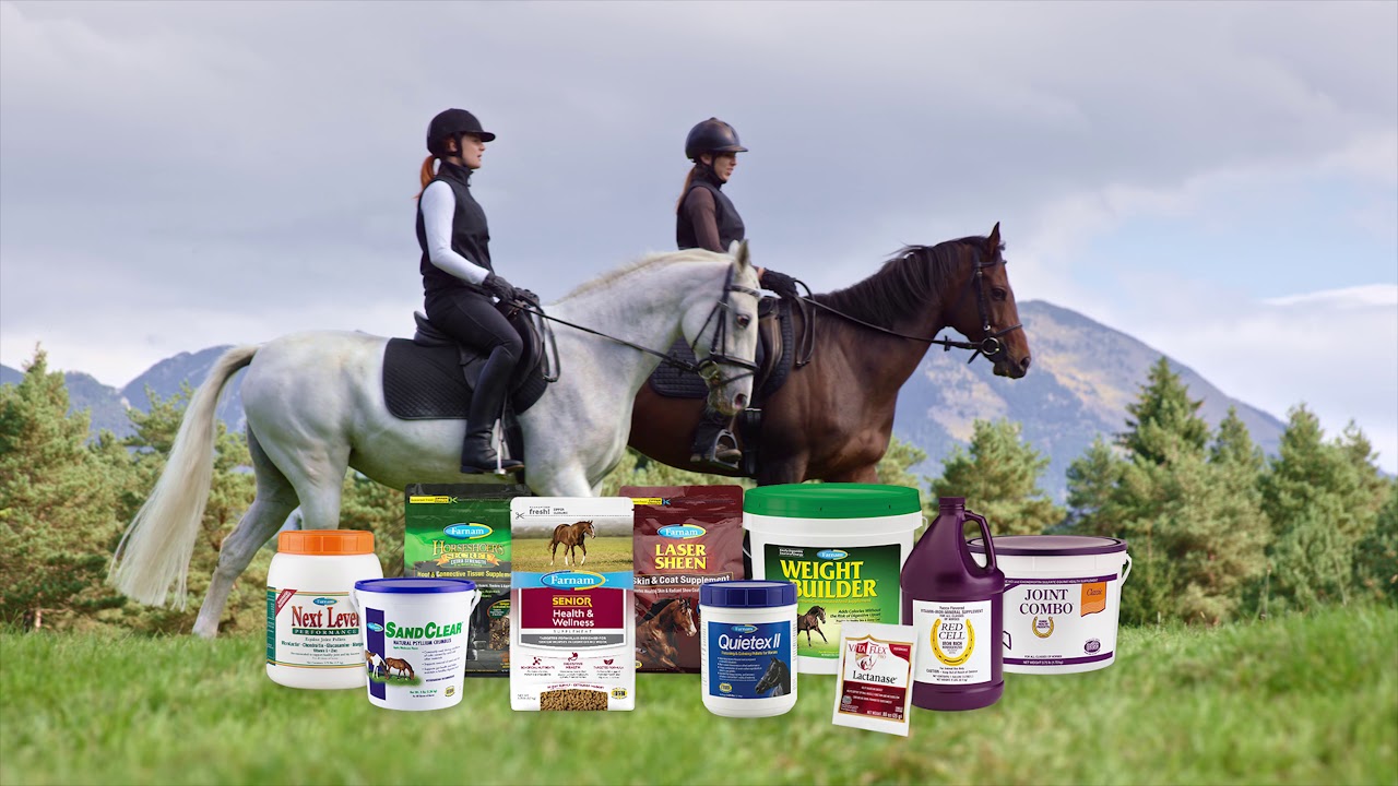 Ride Your Way to Savings Horse Care Loyalty Rewards Program YouTube