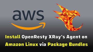 Install OpenResty XRay’s Agents on Amazon Linux via Package Bundles