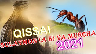 Киссаи Сулаймон ( А С ) Ва Мурча 2021 | Qissai  Sulaymon ( A S ) Va Murcha 2021