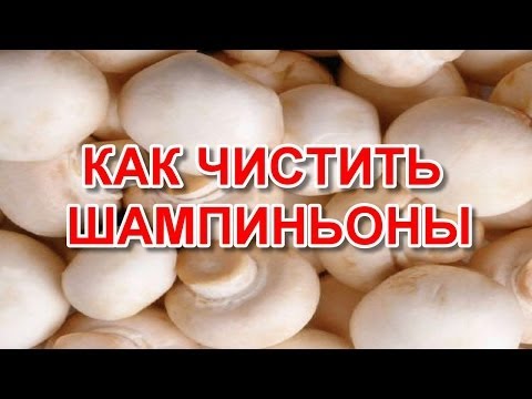 Как чистить шампиньоны