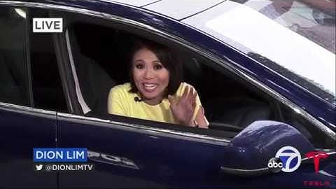 Tesla Model 3 break-in recorded with Sentry Mode BURGLAR CAUGHT