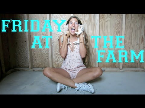Friday at the Farm