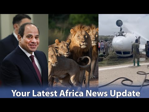 US to Support Egypt on Ethiopia's Nile, S.Africa Shoot 6 Lions for Killing Cows, Somalia Plane Crush