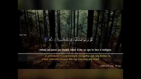 يوسف عثمان الكردي «سورة طه»