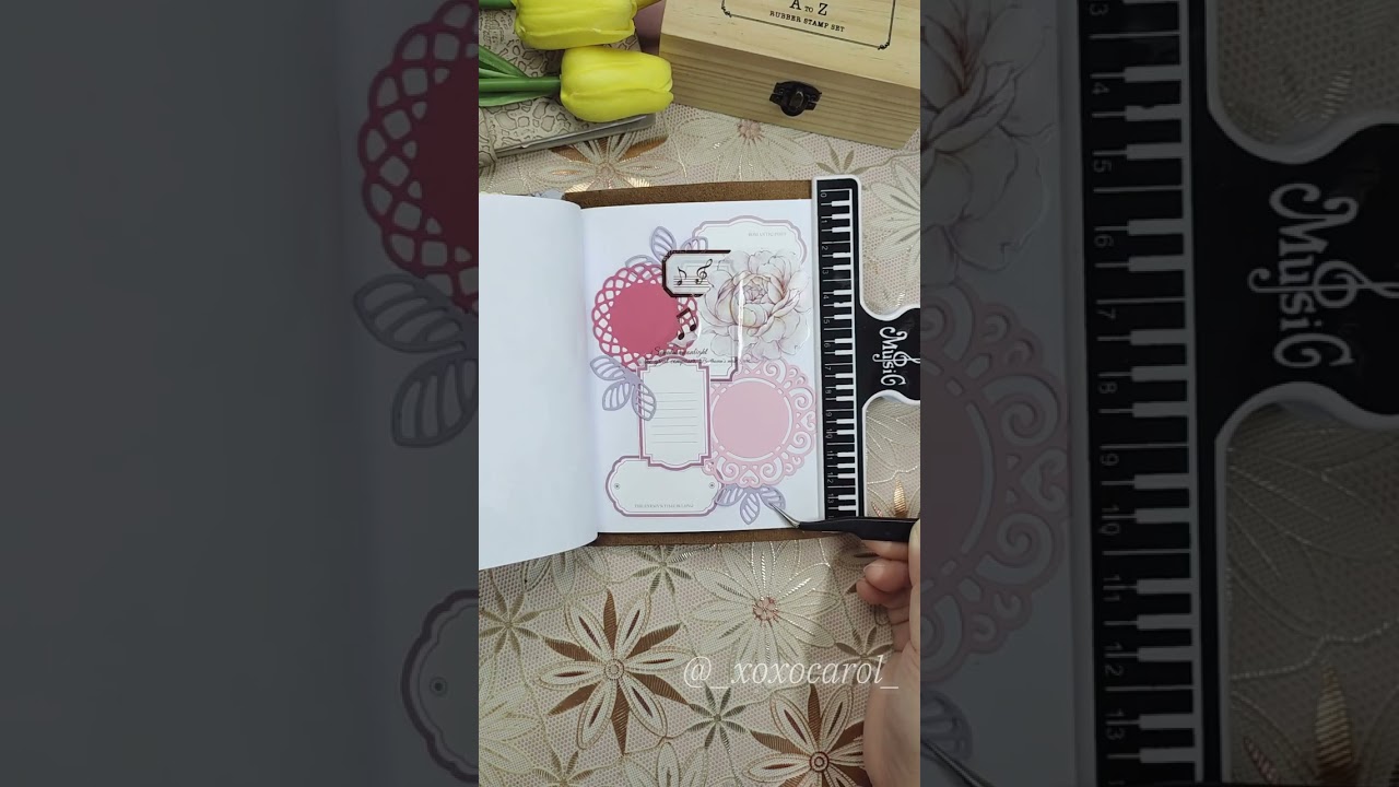 TN Passport | Pink Mixed 