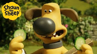 Shaun The Sheep 🐑 Bitzer Relaxing?! - Cartoons For Kids 🐑 Full Episodes Compilation [1 Hour]