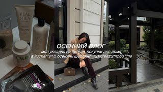 видео: ОСЕННИЙ ВЛОГ/МОЯ УКЛАДКА НА БИГУДИ/ПОКУПКИ ДЛЯ ДОМА KUCHENLAND/ОСЕННИЙ ШОППИНГ/12 STOREEZ,2MOOD,LIME картинка: ОСЕННИЙ ВЛОГ/МОЯ УКЛАДКА НА БИГУДИ/ПОКУПКИ ДЛЯ ДОМА KUCHENLAND/ОСЕННИЙ ШОППИНГ/12 STOREEZ,2MOOD,LIME