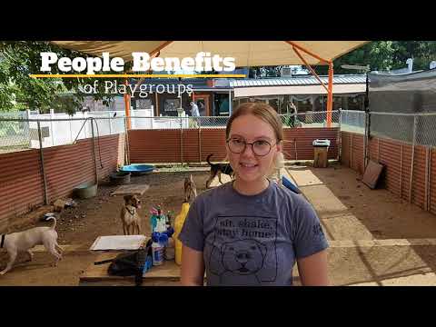 People Benefits of Playgroups!