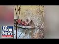 Hundreds of migrants caught on video crossing Rio Grande border