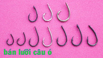 BÁN LƯỠI CÂU Ó CẮM CÂU CÁ LÓC, đầy đủ kích cỡ, giao hàng toàn quốc | Thích Câu Cá Lóc 01