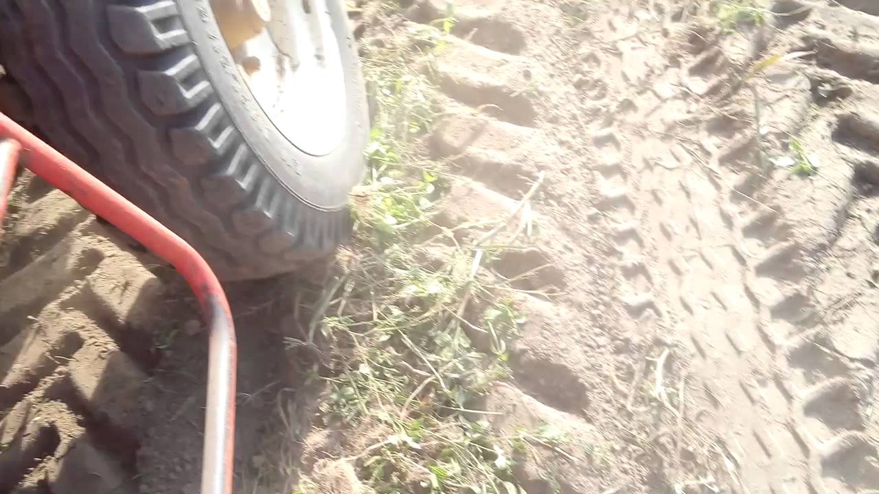 Wykopki Grimme Europa super 2015