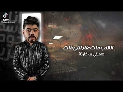 فيلو مهرحان انا الأسد جوة العرين فيلو حلقولو السويسي توزيع شبح الكون فيلو ألحان فيلو2021