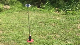 time lapse movie of the REAL punxsutawney Phil (REAL groundhog coming out of his REAL hole)