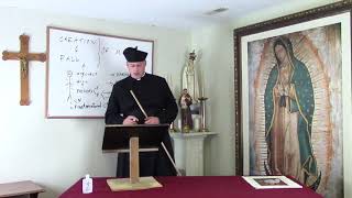 Celebrity Fr. David Hewko Catechism Class #6 (Creation and Fall of Man) Profile