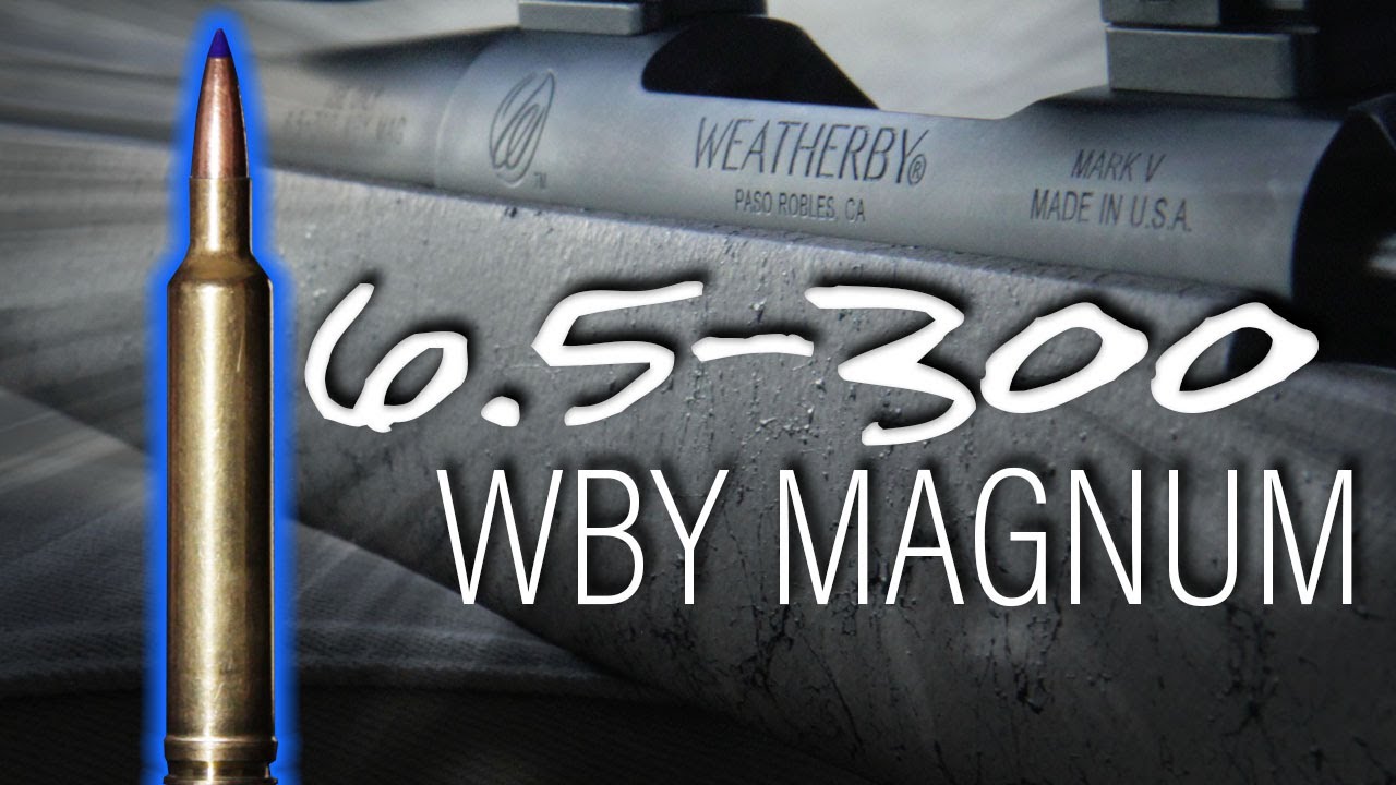 Weatherby, ammo, ammunition, best, hunting, 6.5 Creedmoor, 300 mag, Eastman...