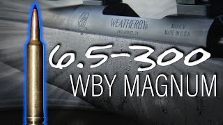 New Weatherby Caliber:  6.5 - 300 Weatherby Magnum! (Review)