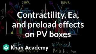 Contractility, Ea, And Preload Effects On Pv Boxes Nclex-Rn Khan Academy